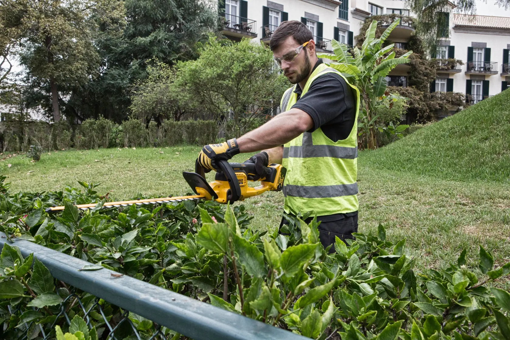DEWALT® 18V XR® 55cm Hedge Trimmer (19mm Blade Gap) (Tool Only)