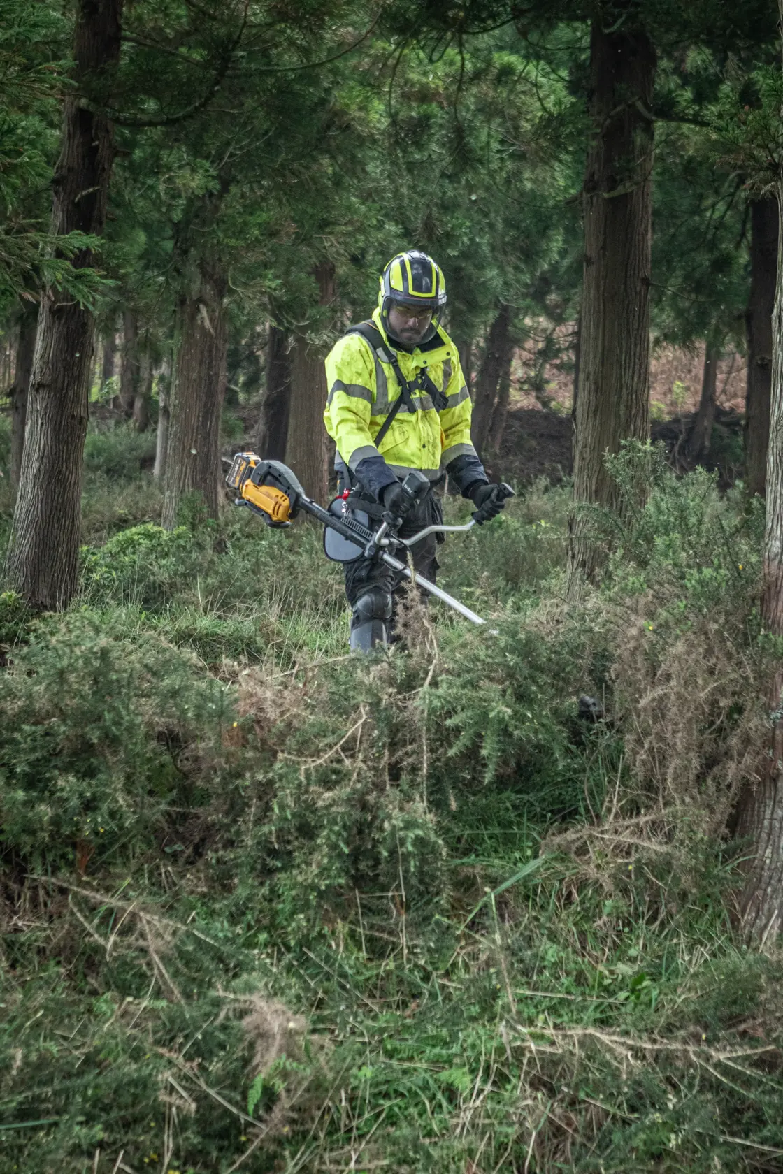 Worker uses DEWALT brushcutter in forest. Models: DCMBC723N-XJ, DCMBC723N. Photography product category.