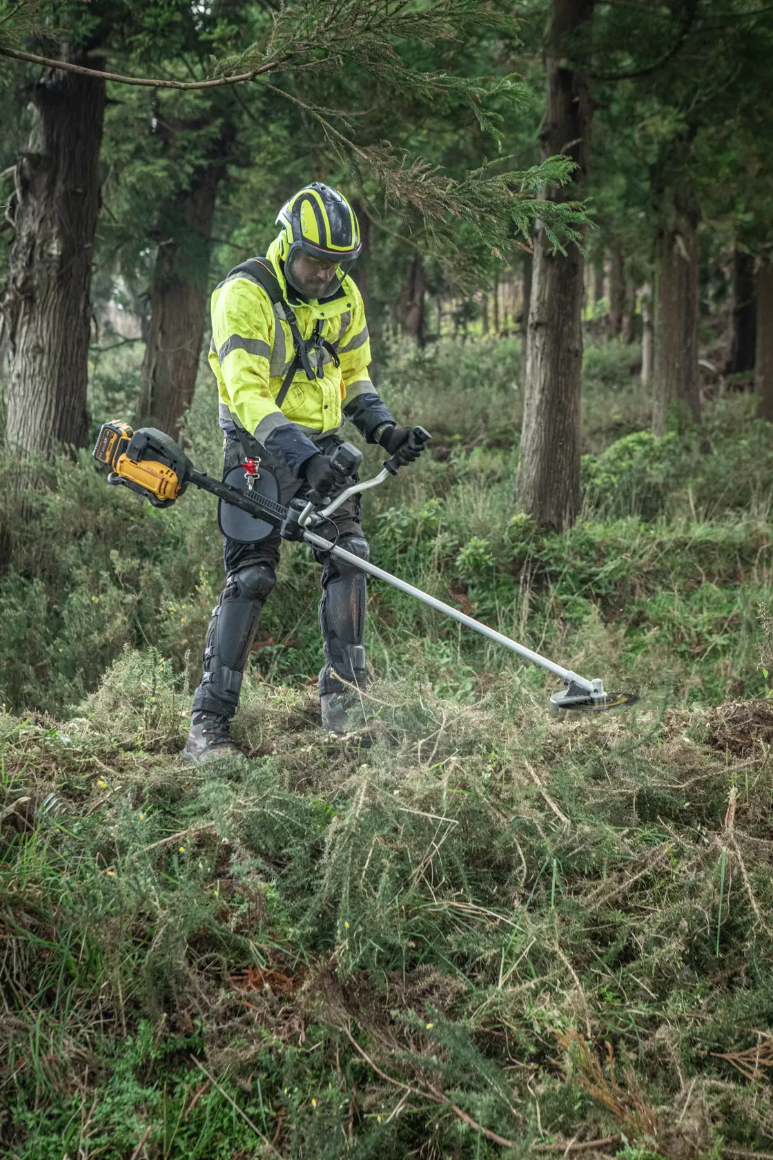 Operator uses DEWALT DCMBC723N-XJ, DCMBC723N brush cutter in forest. Safety gear worn.