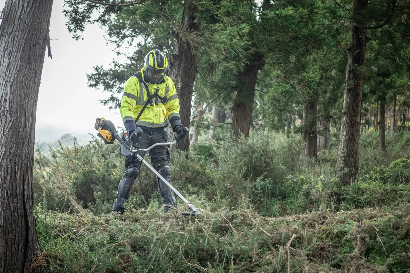 Worker outdoors using DEWALT brush cutter DCMBC723N-XJ, DCMBC723N in forest area.