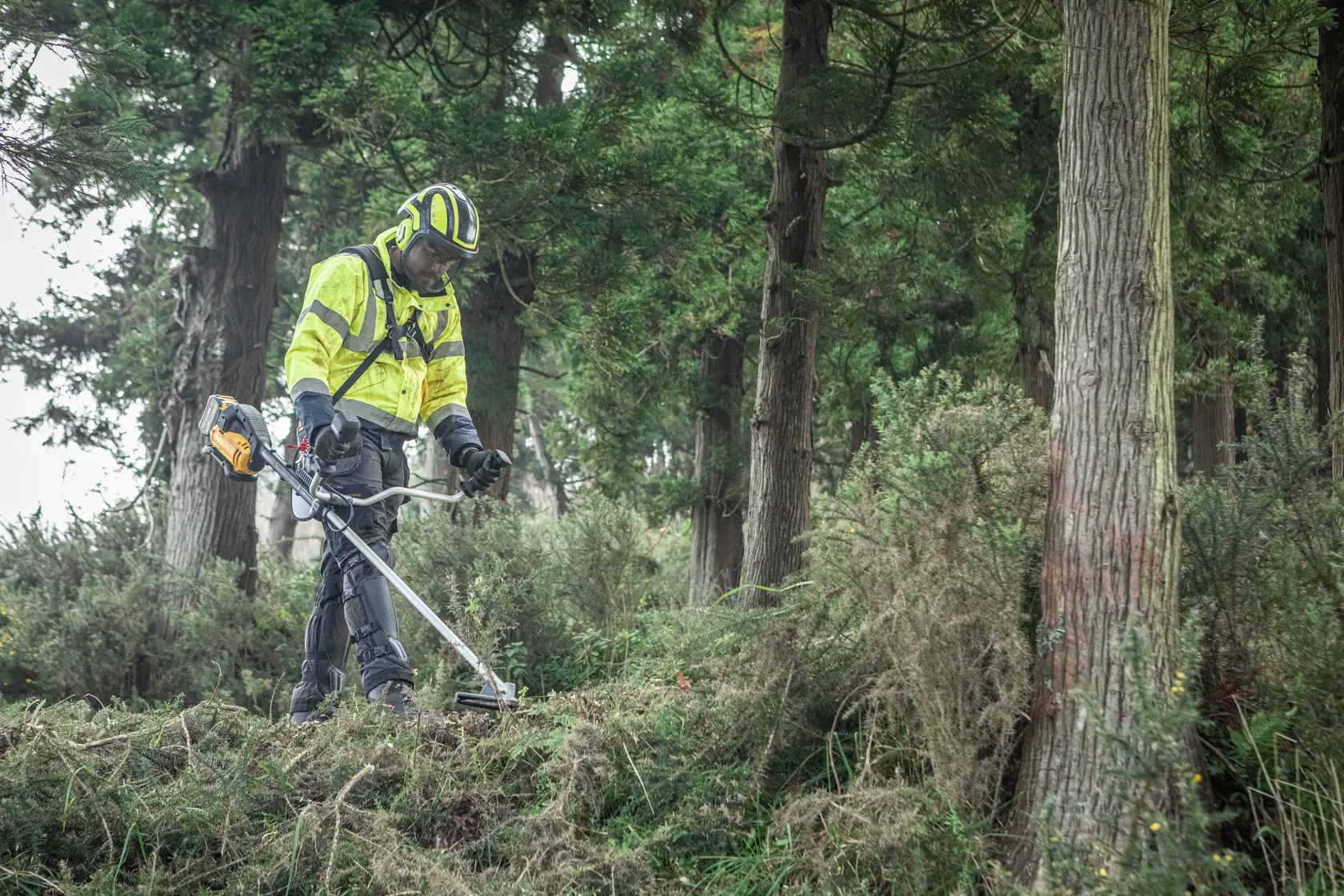 Person using DEWALT DCMBC723N-XJ, DCMBC723N brush cutter in forest, photography category.