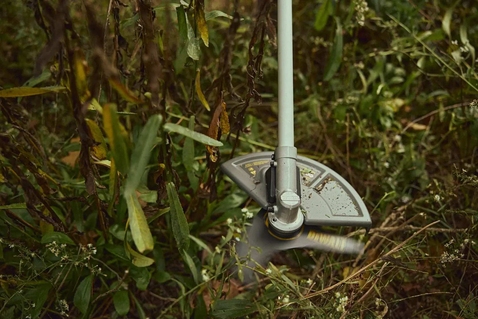 DEWALT DCMBC812N-XJ, DCMBC812N grass trimmer head in use outdoors among plants and grass.