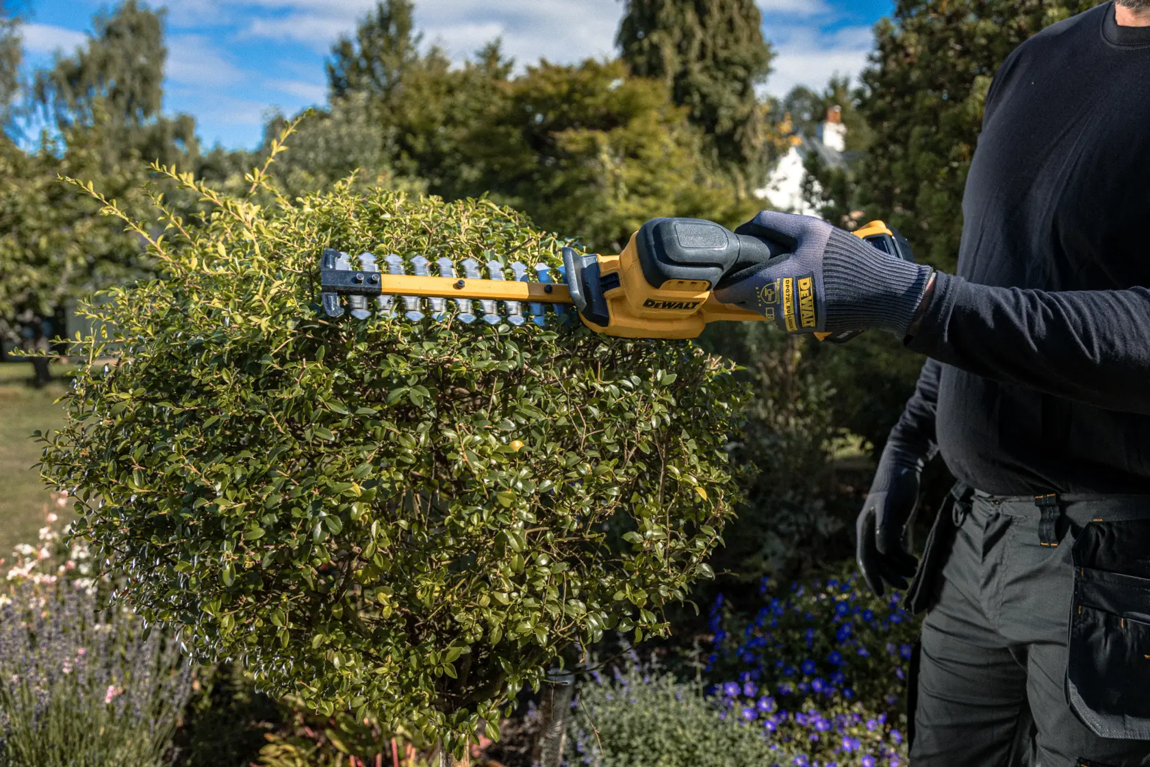 DEWALT hedge trimmer, SKUs DCMHT520N-XJ, DCMHT520N. Yellow and black, 18V, shown against white background.