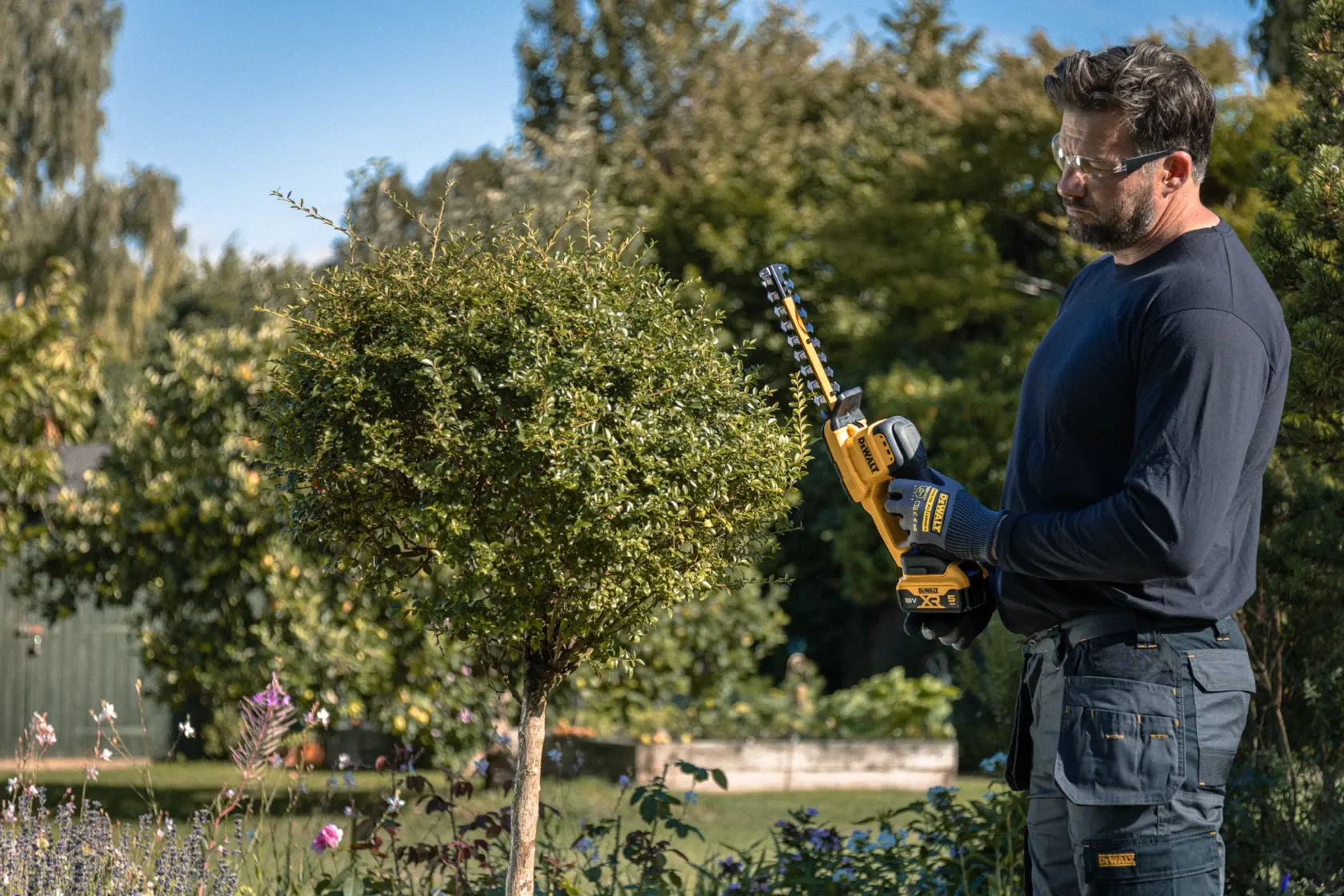 DEWALT hedge trimmer, yellow-black, photography category, SKUs DCMHT520N-XJ and DCMHT520N shown.