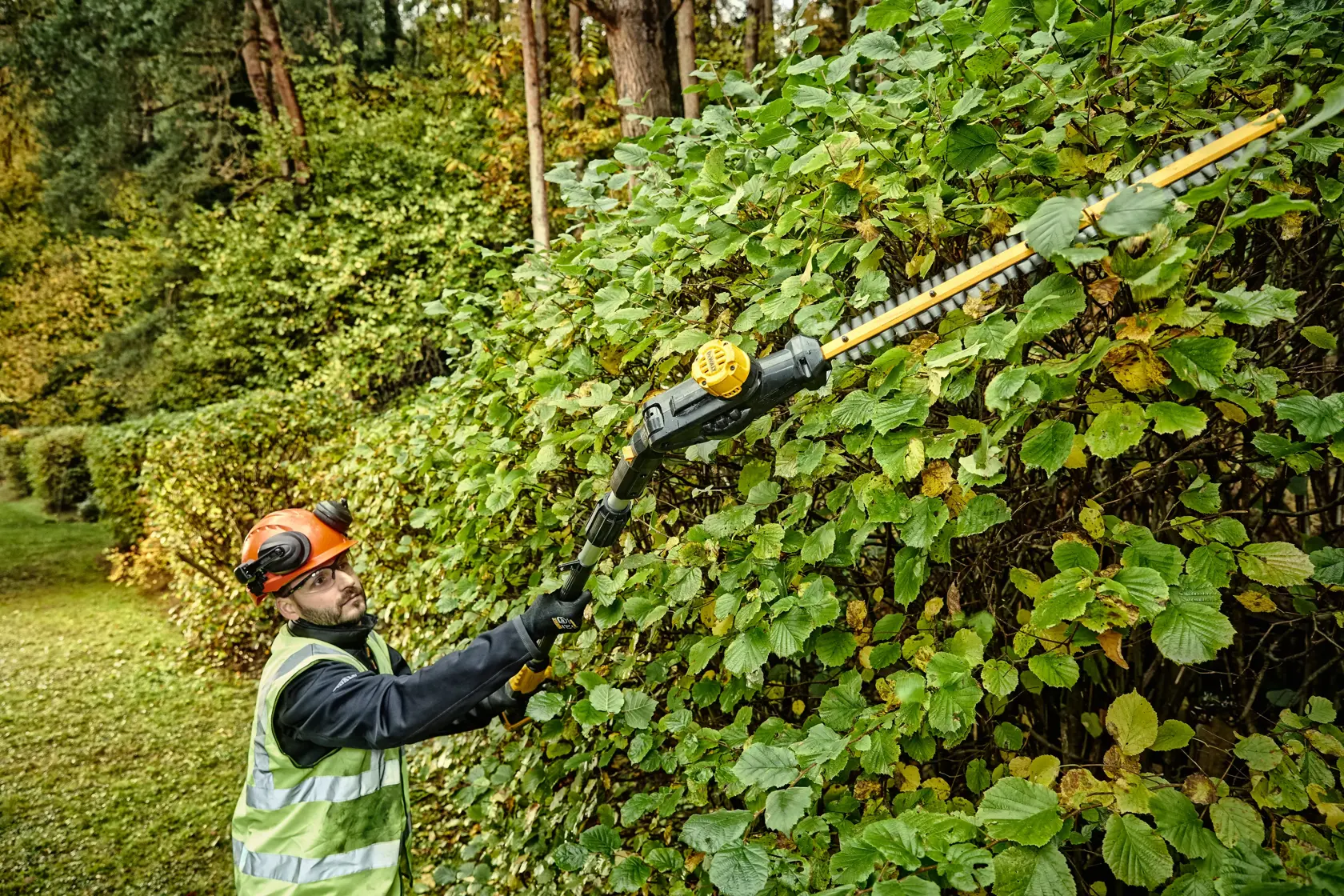 DEWALT® 18V XR® 55 cm Pole Hedge Trimmer (25 mm Blade Gap) (Tool Only)