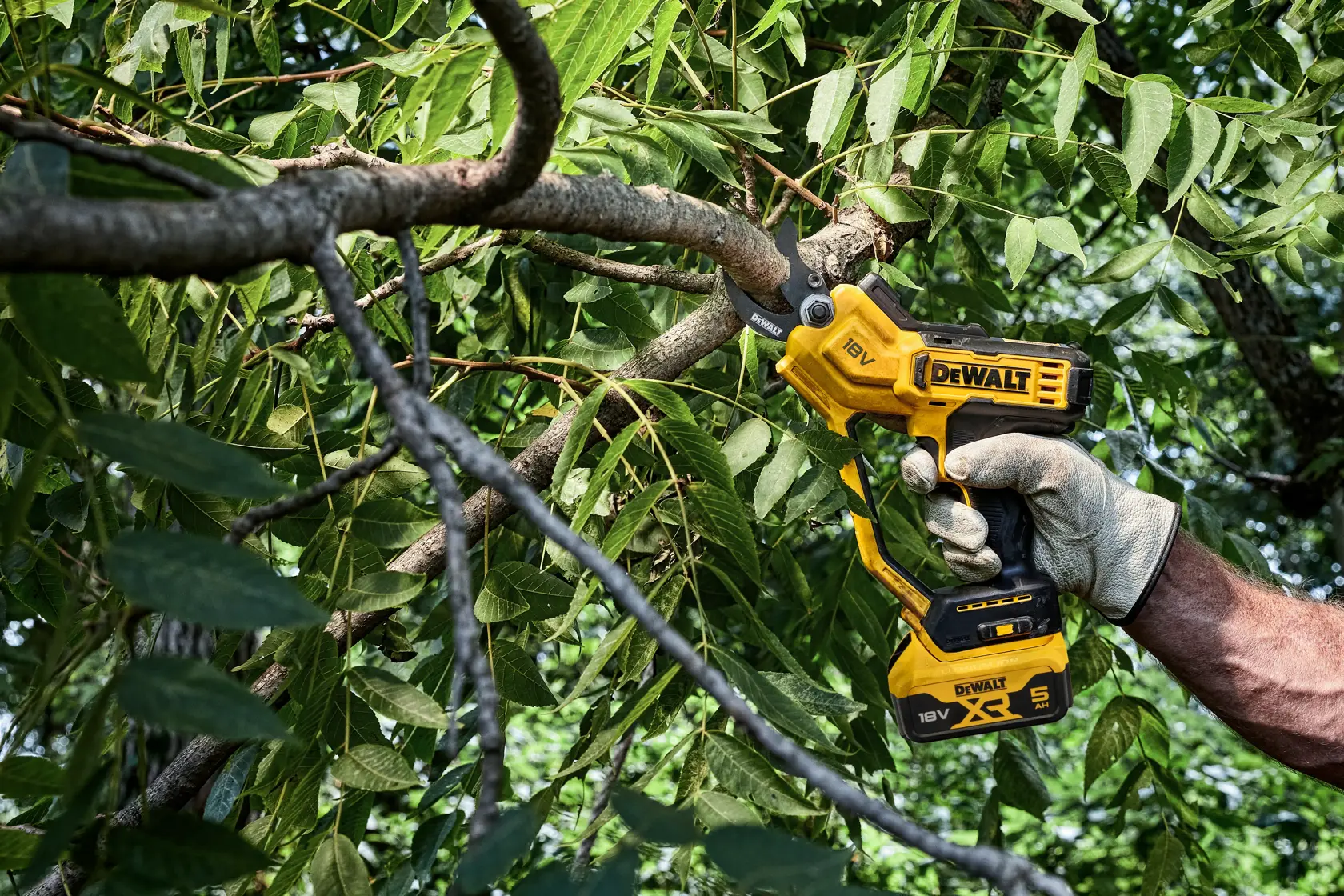 Persona usa podadora inalámbrica DEWALT para cortar una rama entre hojas verdes al aire libre.