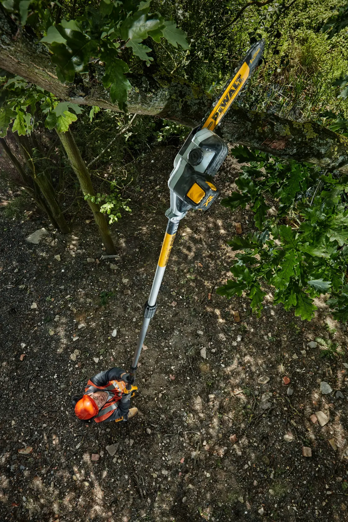 DEWALT® 18V XR® 20cm Pole Saw (Tool Only)