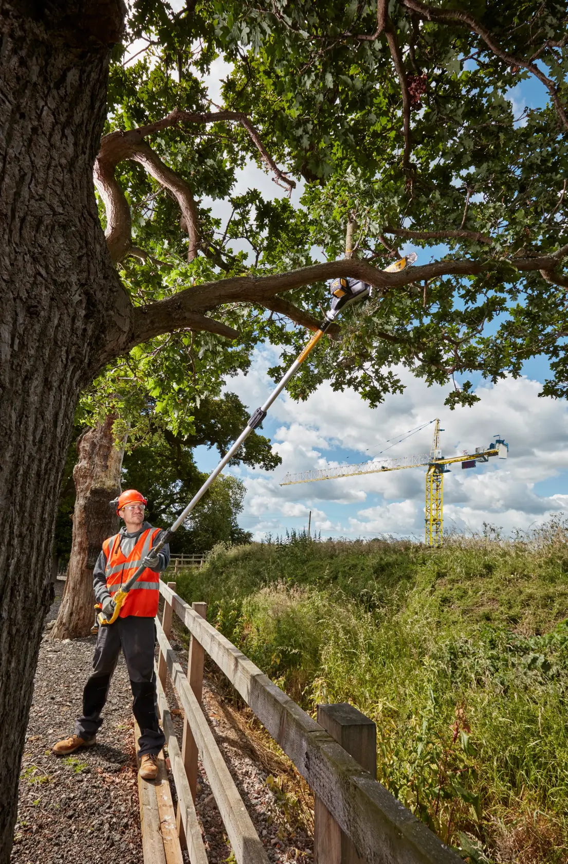 Trabajador poda ramas de árbol con sierra DEWALT, usando chaleco y equipo de seguridad al aire libre.