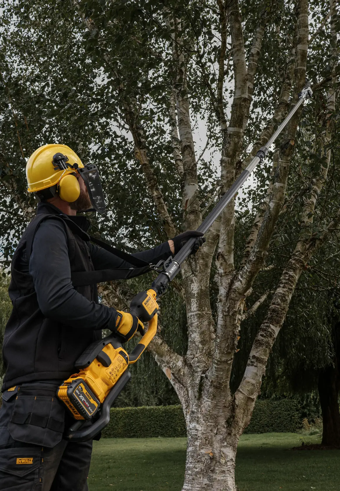 Persona poda ramas de árbol al aire libre con sierra de pértiga DEWALT, usando casco y protección.