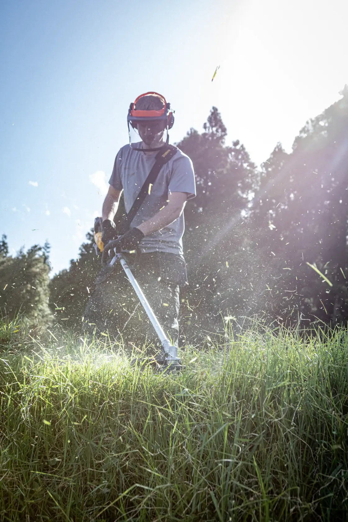 Person using DEWALT DCMST911N, DCMST911N-XJ trimmer in tall grass outdoors, product photography.