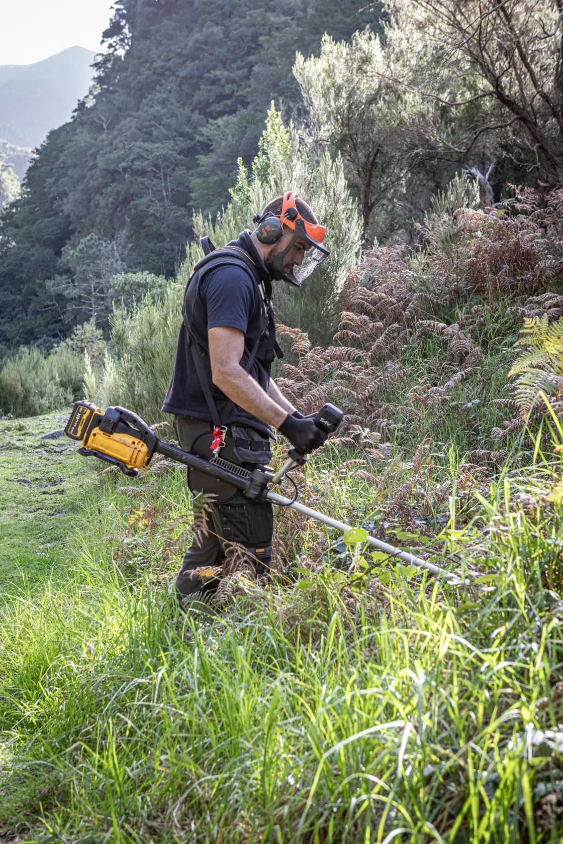 Person using DEWALT DCMST922N, DCMST922N-XJ trimmer outdoors in tall grass, photography product category.