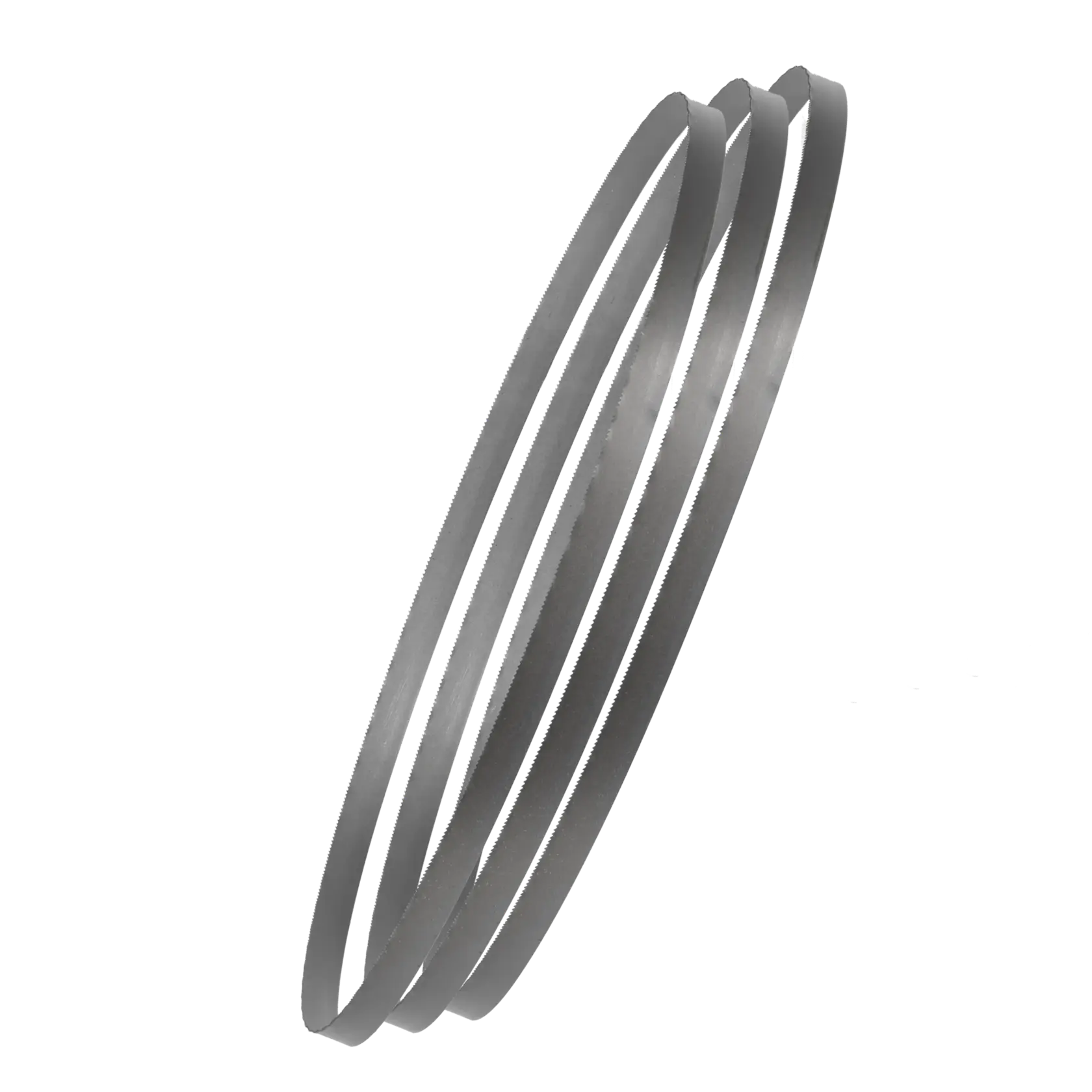 Three metal band saw blades are coiled together against a white background.